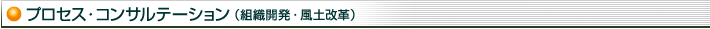 プロセス・コンサルテーション（組織開発・風土改革）